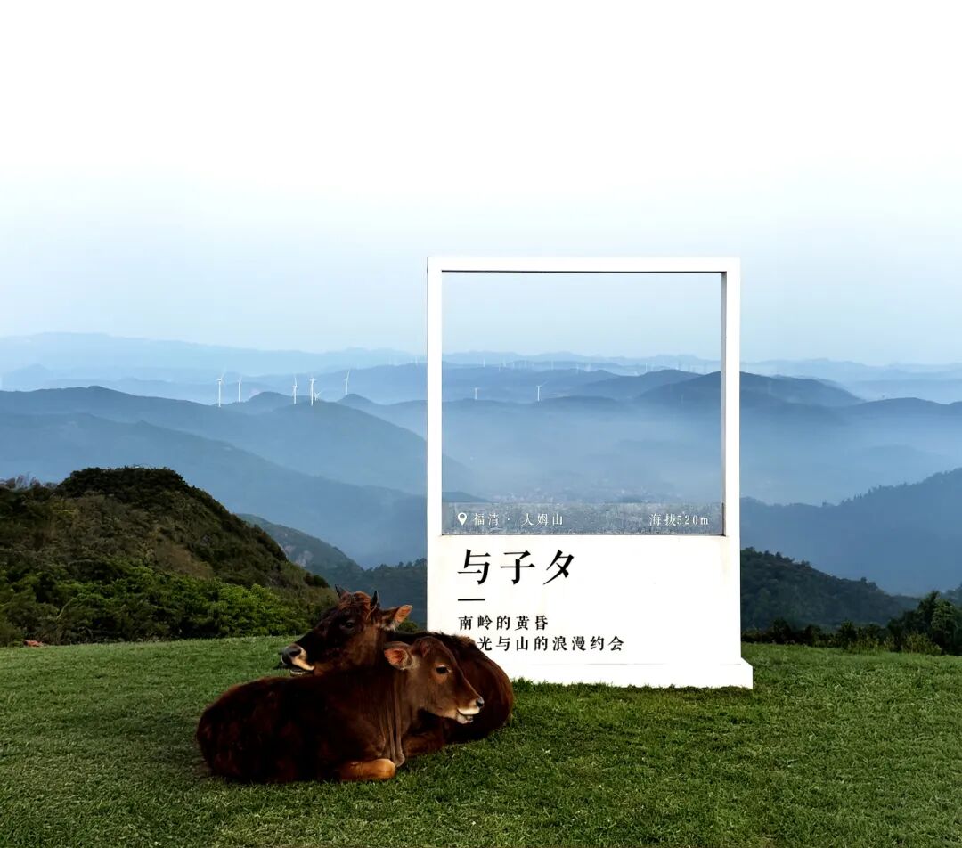 “大山影遇,风物南岭”摄影大赛网络海选投票开启!一等奖